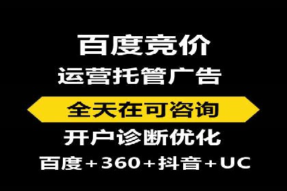 网络推广竞价策略解析与应用案例